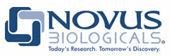 Novus