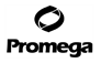 promega