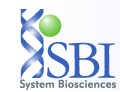 SBI