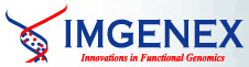 Imgenex 