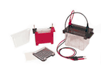 VE-186 全濕式轉漬器 ( Mini Tank Electroblotter )